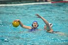 WWPolo vs CC  Wheaton College Women’s Water Polo compete in their sports inaugural match vs Connecticut College. - Photo By: KEITH NORDSTROM : Wheaton, water polo, inaugural